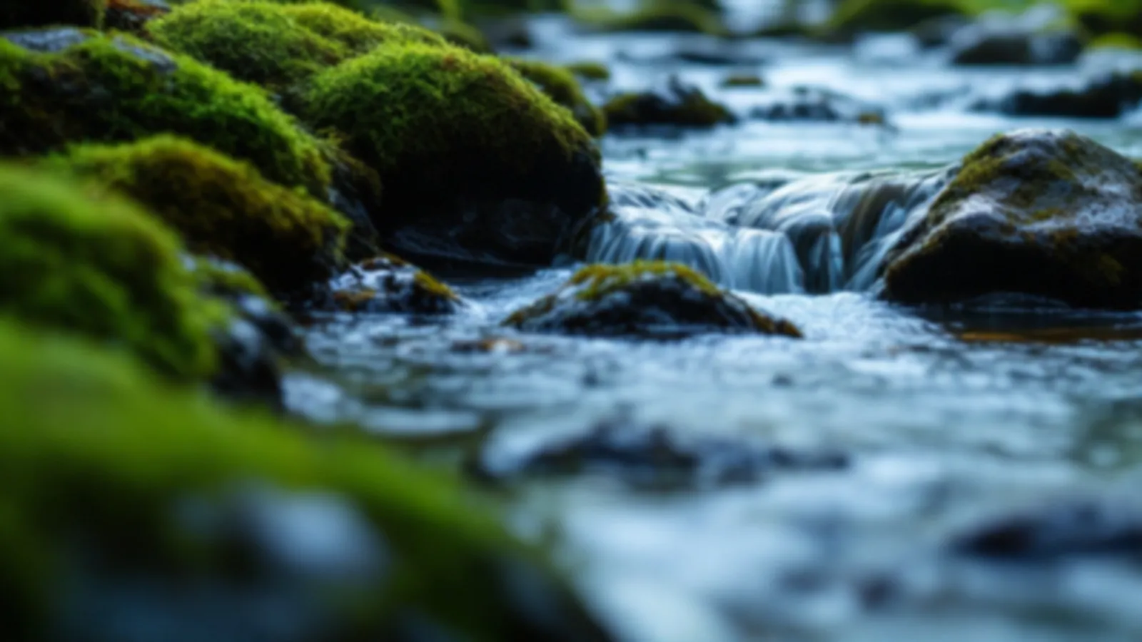 A clear brook running over mossy stones through a green forest in soft morning light, the BrookWallet view of quick loans online, $100 – $5,000
